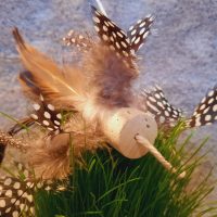Vogelwedel